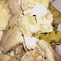 سنگ اکواریومی تزئینی