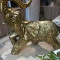 فیل هندی سنگین وزن