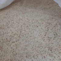 برنج هاشمی|خوردنی و آشامیدنی|اصفهان, شاهد|دیوار