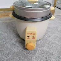 زودپز استیل . پلوپز