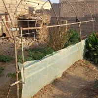 گلخانه کوچیک برای باغچه|مصالح و تجهیزات ساختمان|زهک, |دیوار