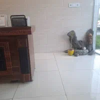 فروش سنگ|کلکسیون و سرگرمی|فومن, |دیوار