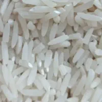 برنج فجر ارگانیک