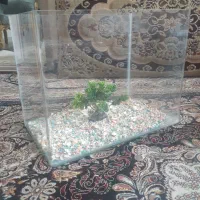 اکواریوم شیشه خم