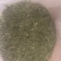 یونجه تمام برگ جوندگان