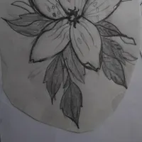 طراحی چهره و...|تابلو، نقاشی، عکس|ماکو, |دیوار