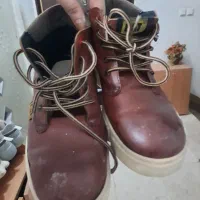 کاپشن بچگانه|کفش و لباس بچه|رشت, توشیبا|دیوار