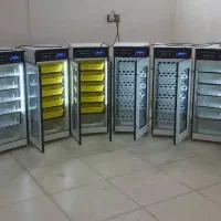 کنترل بی‌نقص/دستگاه جوجه کشی/عملکرد بی‌نظیر