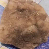 کوارتز دودی