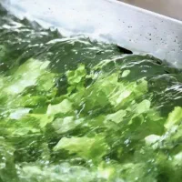 استخدام نیرو خانم جهت کار در کارگاه سبزی