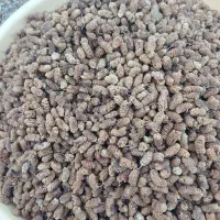 توت خشگ|خوردنی و آشامیدنی|تبریز, |دیوار