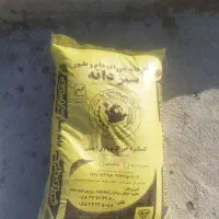کنسانتره آجیلی سبزدانه