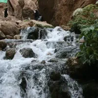 تور گردشگری