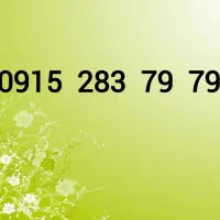 0915-283-79-79