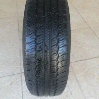 لاستیک در حد نو|قطعات یدکی و لوازم جانبی|نیشابور, مدرس|دیوار