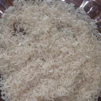 برنج فجر