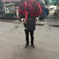 باکس گل ۴۰ شاخه رز هلندی