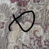 فرش ۱۲متری واسه خانه باغ یا خونه دوسه جاش سوخته|فرش|کاشان, الغدیر|دیوار