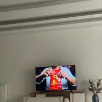 گربه پرشین ماده