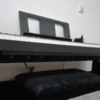 پیانو|پیانو، کیبورد، آکاردئون|گرگان, |دیوار