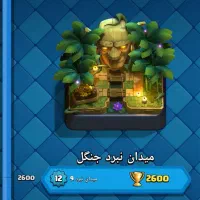 کاش رویال ارزون