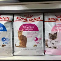 غذای گربه رویال2کیلویی