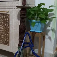 قلیون