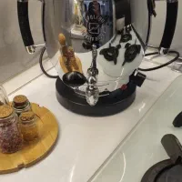 سماور برقی اپولون