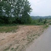 زمین باغی براصلی با ویوی ابدی|فروش زمین و ملک کلنگی|لاهیجان, یوسف آباد|دیوار