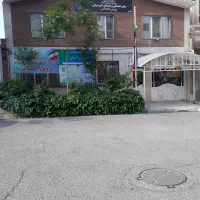 معلم خانم زبان انگلیسی