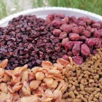 انواع خشکبار|خوردنی و آشامیدنی|تهران, سعادت‌آباد|دیوار