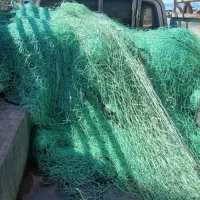 تور شیری ۲۴ و ۲۶ پان|ماهیگیری|بردخون, |دیوار