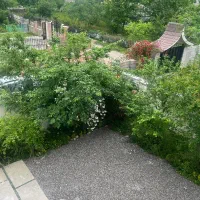 ویلا ۱۸۰ متری ماسال دوبلکس کوچکام|فروش خانه و ویلا|ماسال, |دیوار