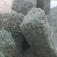 پرس یونجه
