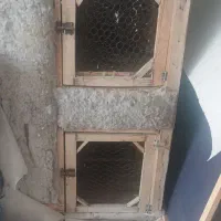 قفس چوبی