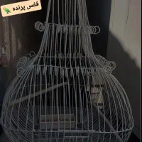 قفس بزرگ پرنده