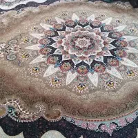 فرش در حد نو|فرش|بندرعباس, |دیوار