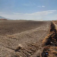 اجاره زمین کشاورزی ۹ هکتار و نیم تضمینی به شرط