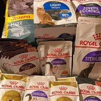 غذا خشک گربه جوسرا