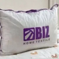 بالشت طبی