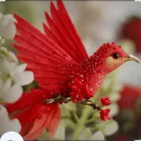 پرنده پیدا شده.