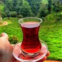 چای و برنج اعلای گیلان با ارسال مستقیم|خوردنی و آشامیدنی|تهران, نیروی هوایی (پیروزی)|دیوار