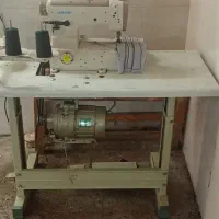 میاندوز جک سالم نو