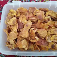 برگه زردالوی پیوندی و محلی
