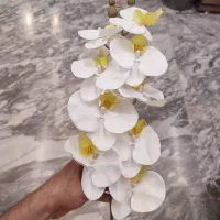 ارکیده ۹ گل لمسی