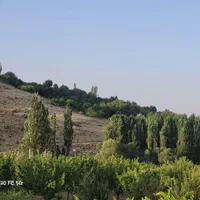 فروش زمین ۲۰۰۰ متری|فروش زمین و ملک کلنگی|فریدونشهر, |دیوار