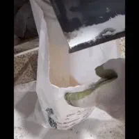 فروش فوری برنج درجه۱دم سیاه مینودشت