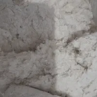 پنبه