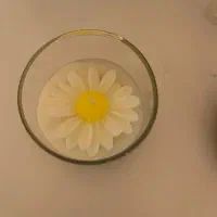 شمع .باکس شمعی .شات شیشه ای .