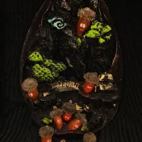 بلوط های تزیینی